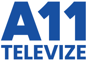 A11